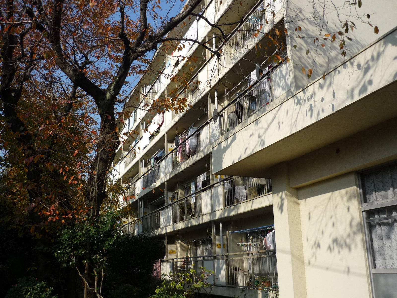 手摺・施工前